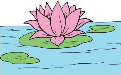 How To Draw A Lotus Flower Really Easy Drawing T - Draw A Lotus Flower (400x400)