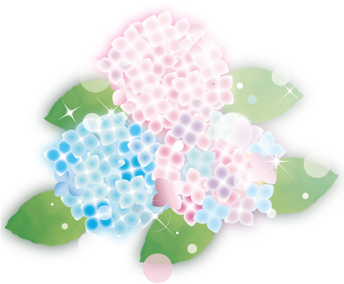 紫陽花 無料 イラスト (700x700)