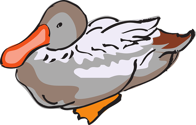 Duck Clipart Brown - Duck (640x411)
