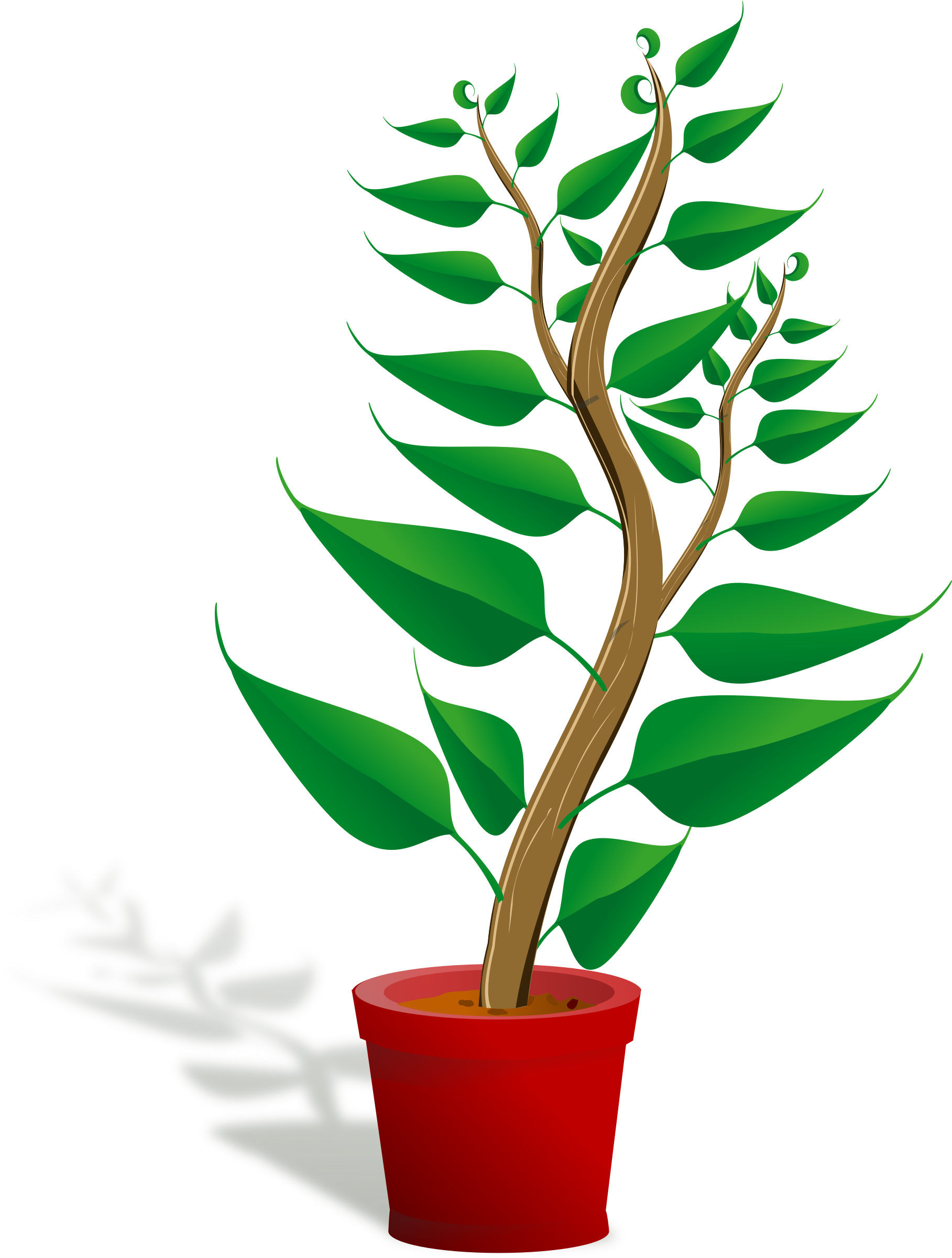 Flower - Plant - Clipart - Getting To Know Plants (570x750)