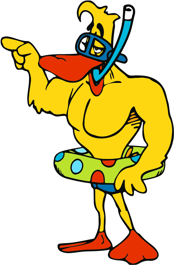 We Are A Full Service In-ground Swimming Pool Service - Aqua Ducks (618x908)