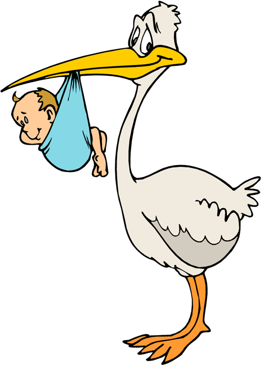 White Stork Clip Art - White Stork Clip Art (543x750)