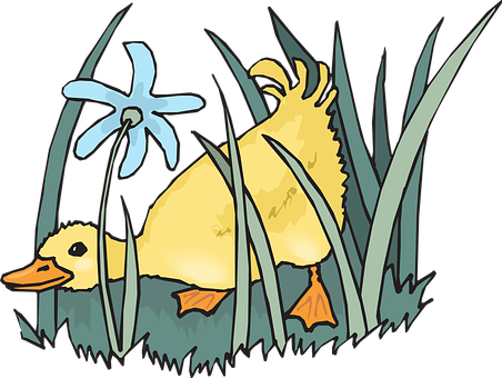 Duckling Baby Bird Spring Flowers Plants G - Gifs De Patos Animados (452x340)
