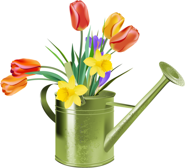Flag With Flowers Watering Can Clipart - Daffodils And Tulips Clipart (640x641)