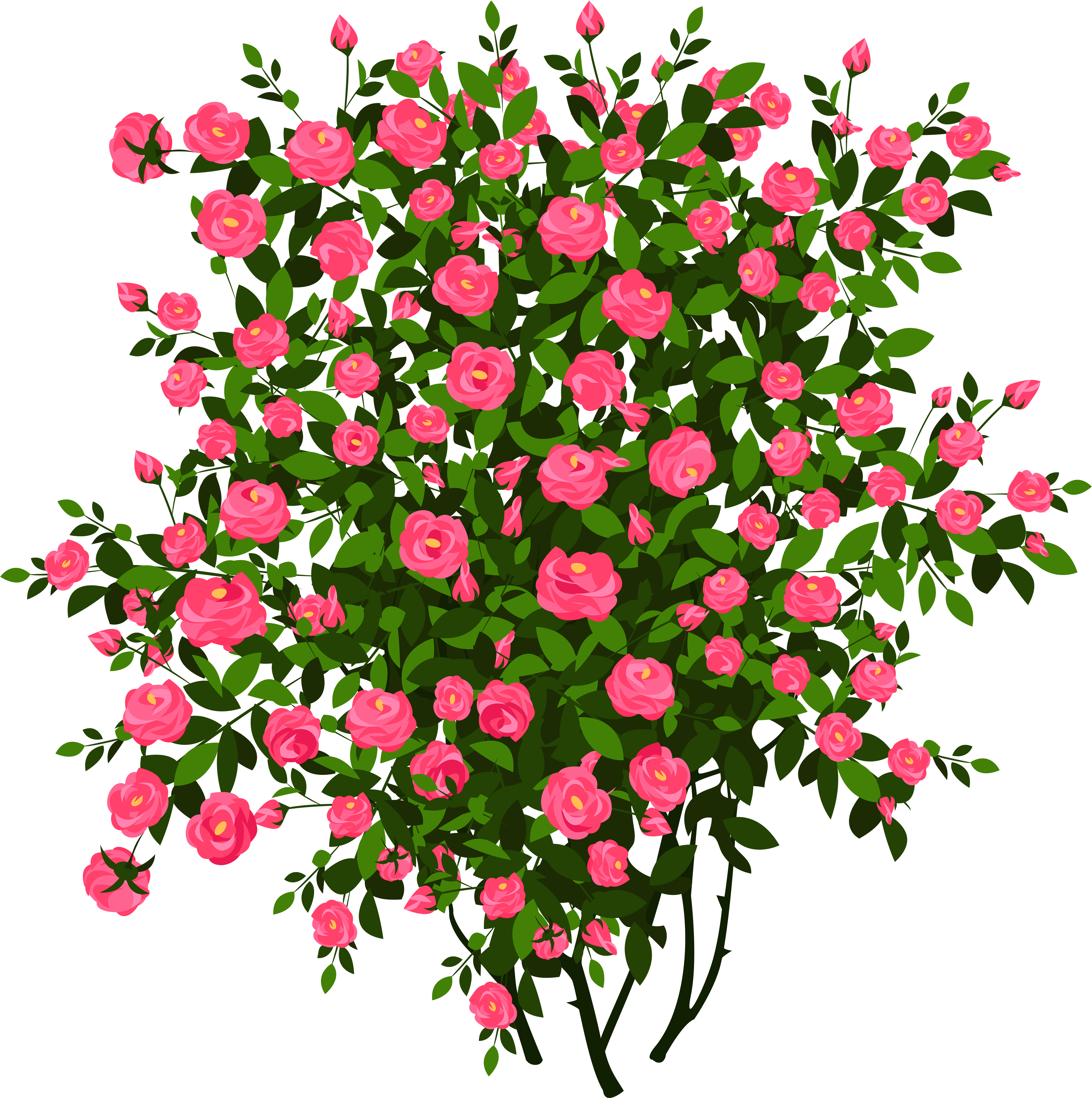 Pink Rose Bush Png Clipart Pictureu200b Gallery Yopriceville - Rose Bush Clipart (5002x5096)