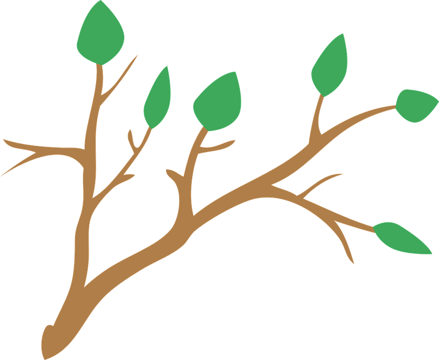 Tree Branch Clipart 7, - Rama De Arbol Png (877x720)