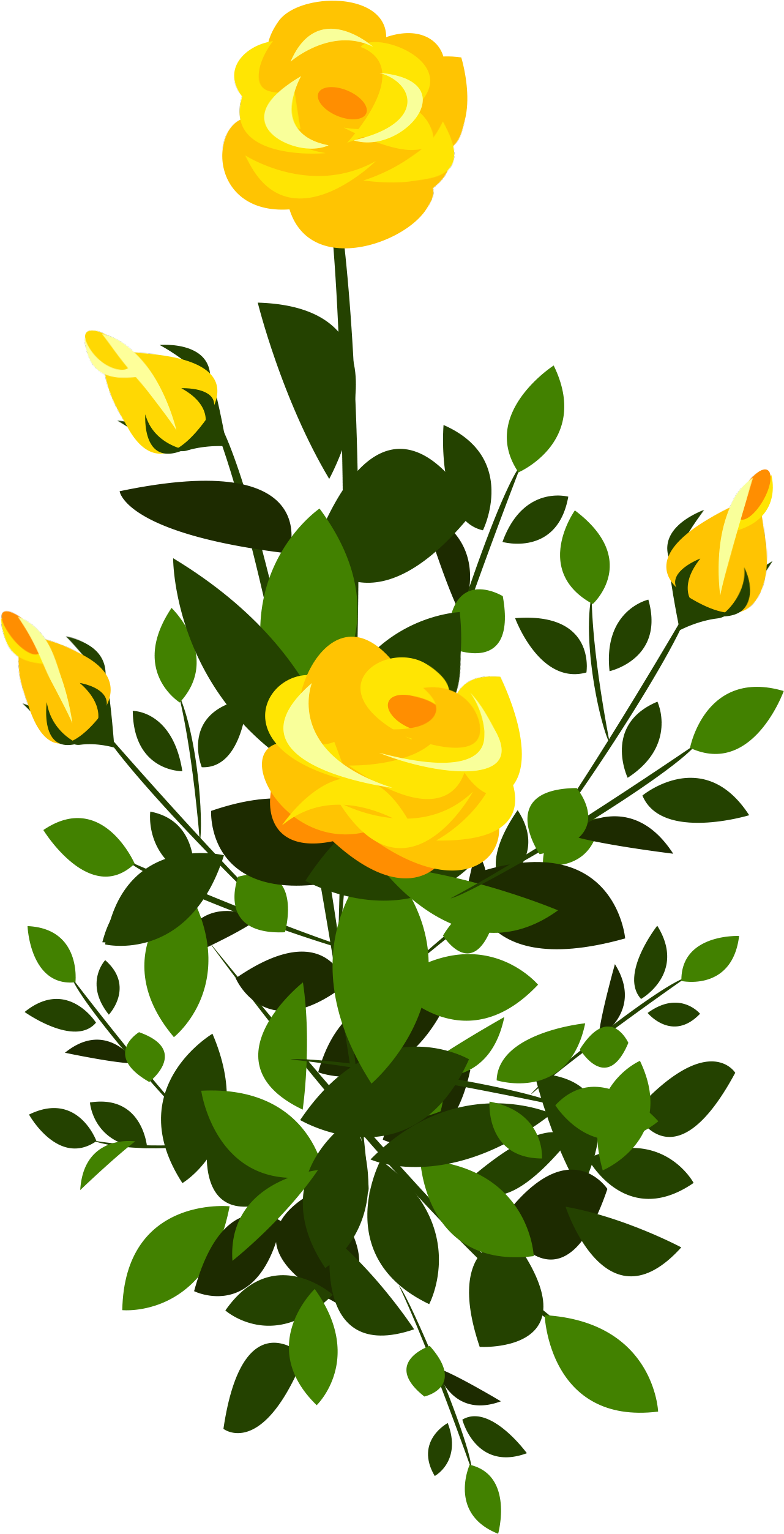 4 Ways To Grow Roses - Plante Dessin Couleur (1647x2731)