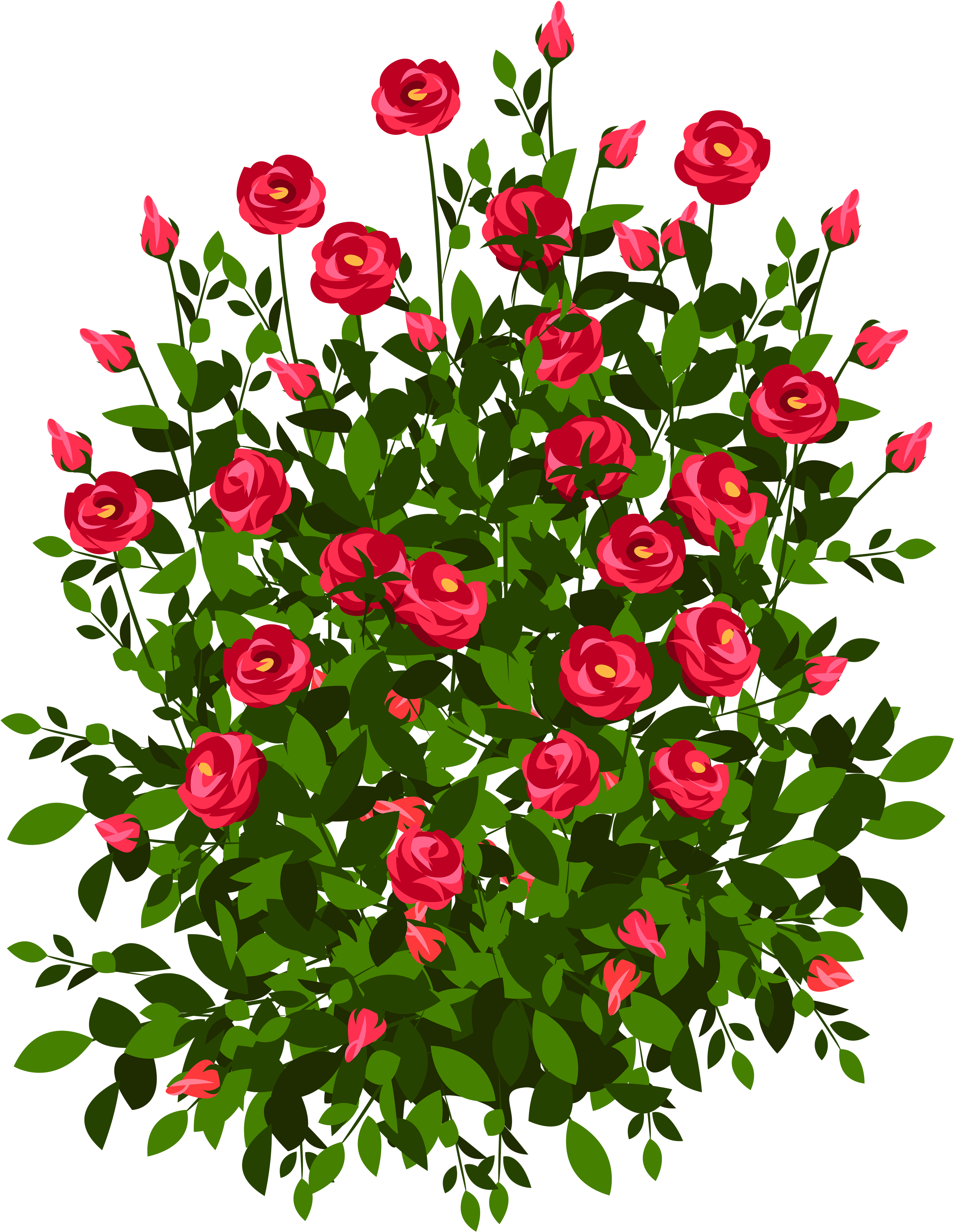 Roses Plant Clipart - Rose Bush Drawing (3242x4000)