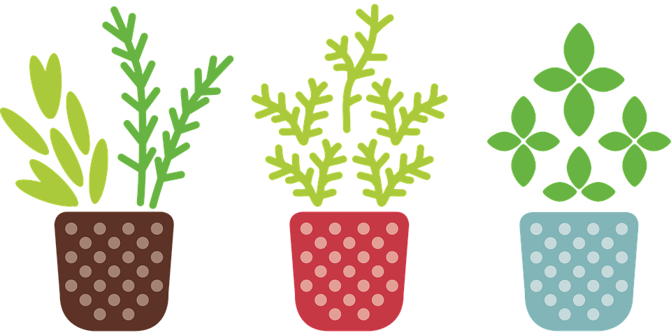 Free Vector Graphic - Herb Garden Clipart (960x480)