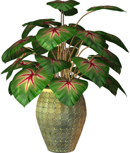 Pot Plant Clipart Transparent - Transparent Flower Pot Png (424x500)
