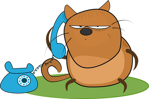Cat Angry Telephone Talk Answer Cat Cat An - Talk On Phone Clip Art (511x340)