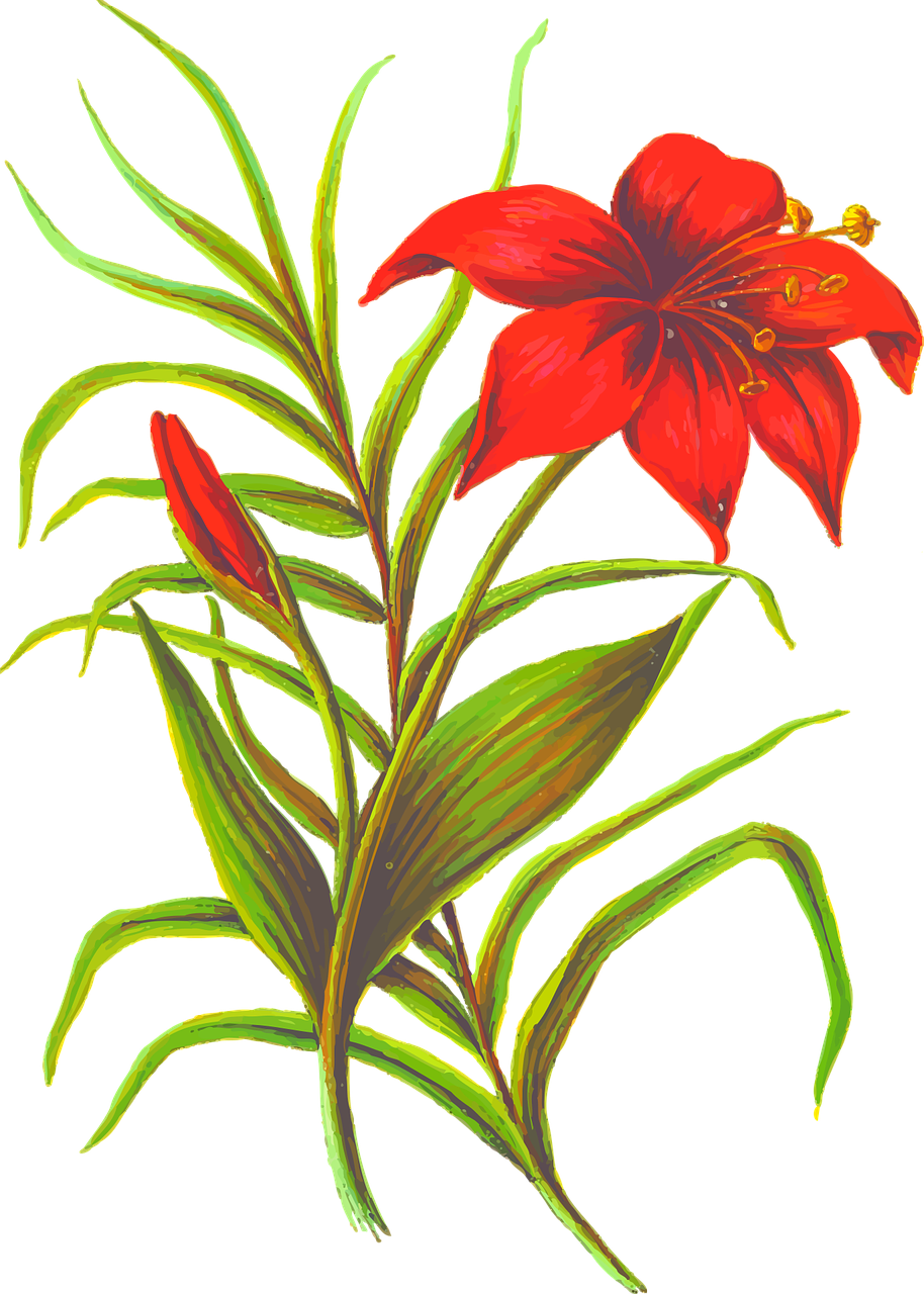 The Best - Silhouette Flower Png (914x1280)