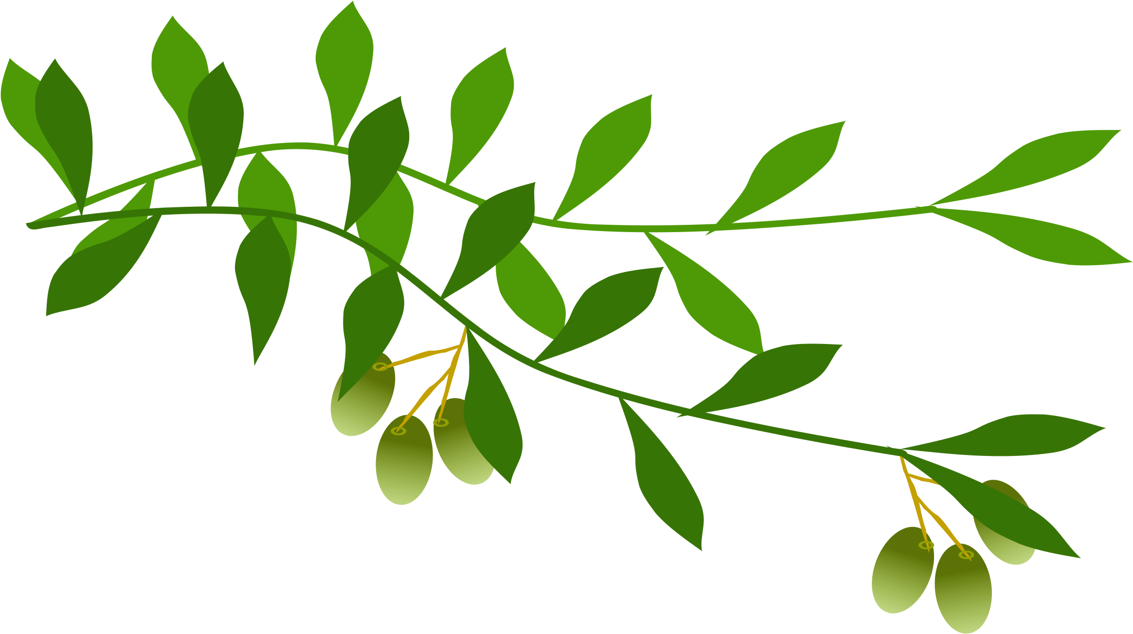 Clip Art Olive Branch Ideas Medium Size - Clip Art Olive Branch (2400x1379)