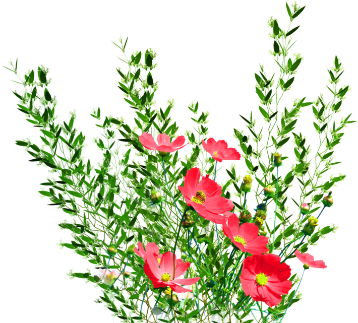 Flower Bed Clipart, Explore Pictures - Flower Gardens Transparent (900x716)