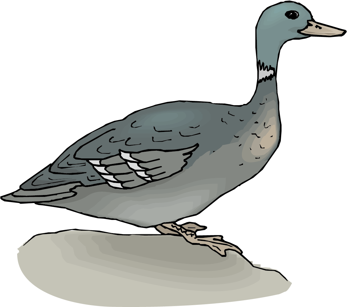 Mallard Duck Goose Clip Art - Mallard Duck Goose Clip Art (1147x1069)