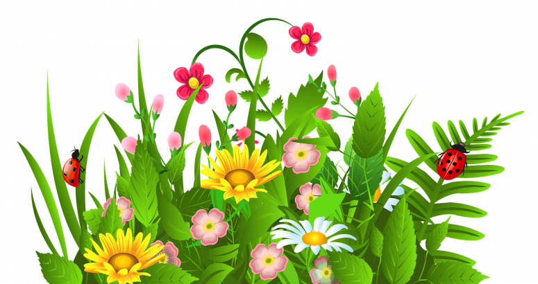 Best Free Flower Garden Clip Art Cdr Vector Images - Spring Flowers Clip Art (775x410)