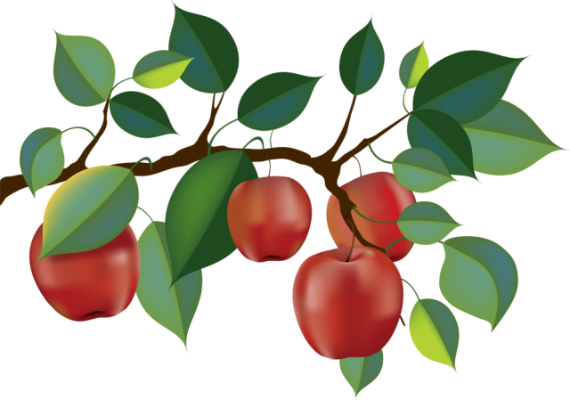 Top 88 Apple Tree Clip Art - Apple Tree Branch Clipart (640x449)
