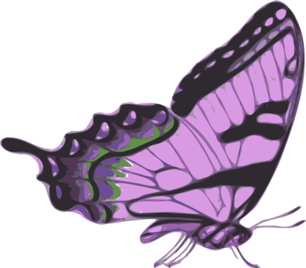 Pin Side Butterfly Clipart - Purple Butterfly Side View (600x526)