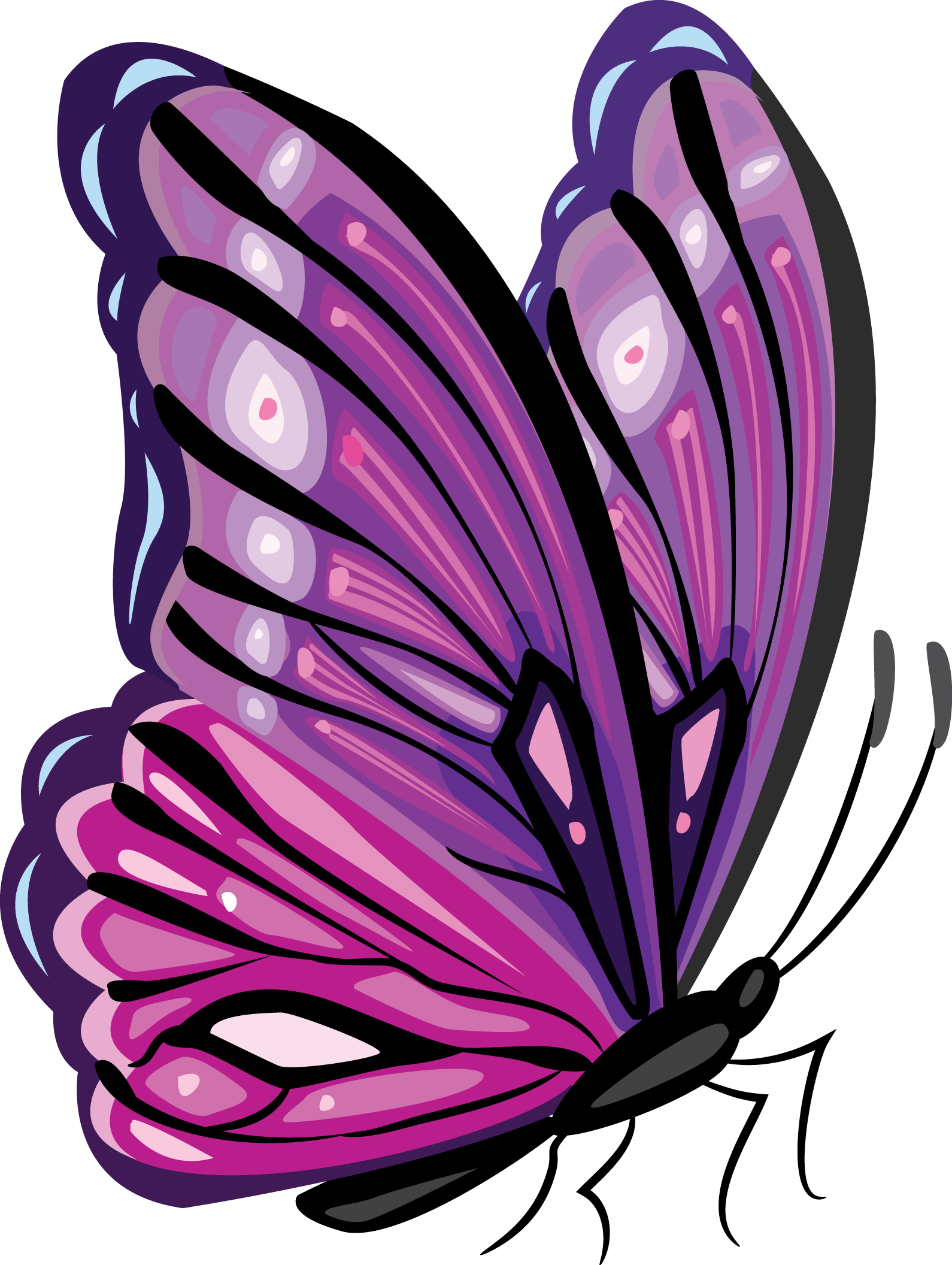 Yellow And Brown Butterfly Png Clipart Picture - Cb Butterfly Png (1590x2112)