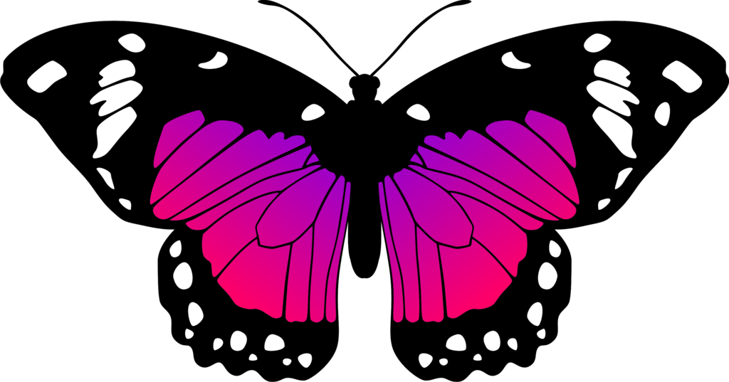 Butterfly By Eiluvision - Pink And Purple Butterfly (1024x537)