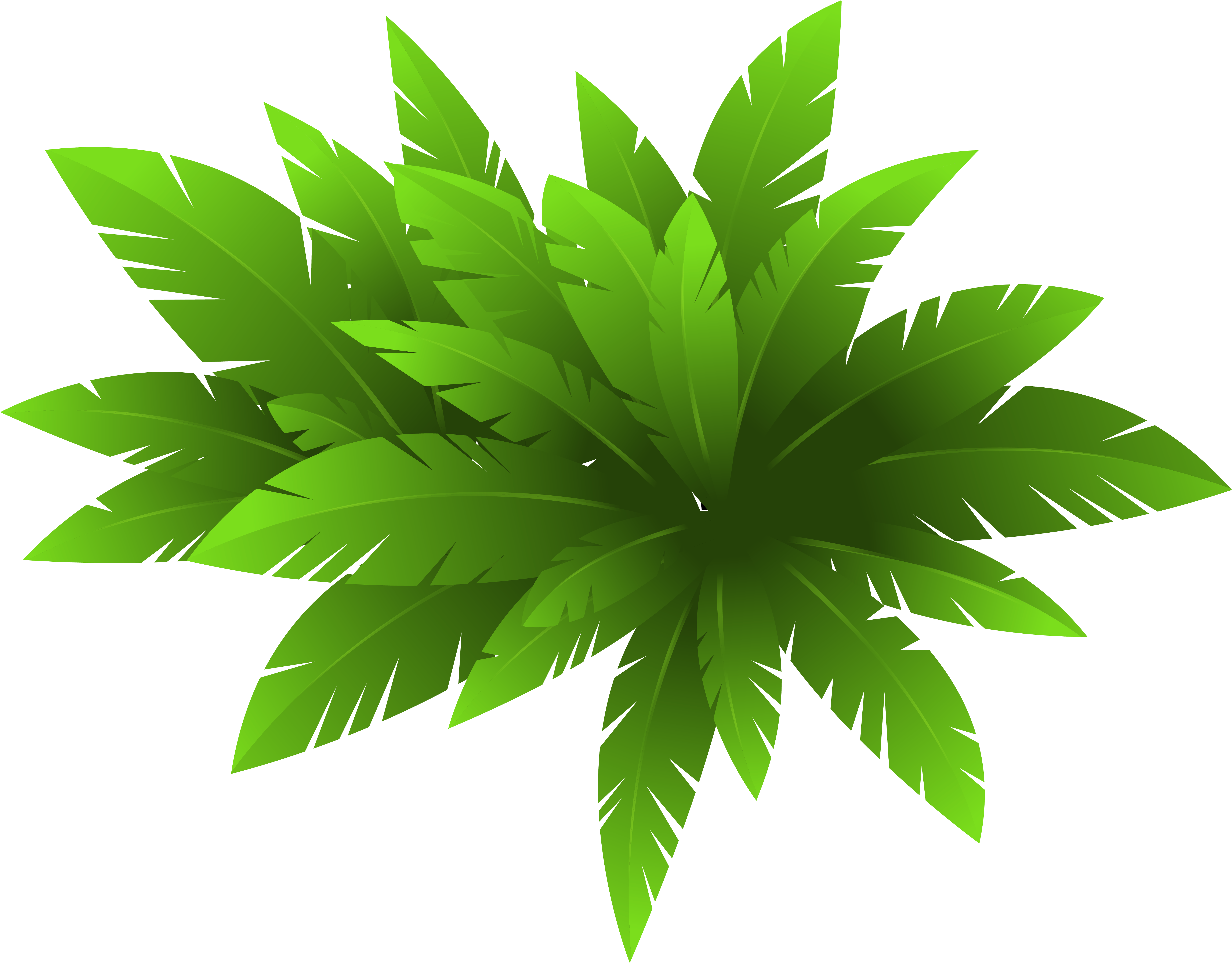 Green Plant Clipart - Plants Clipart (5945x4686)