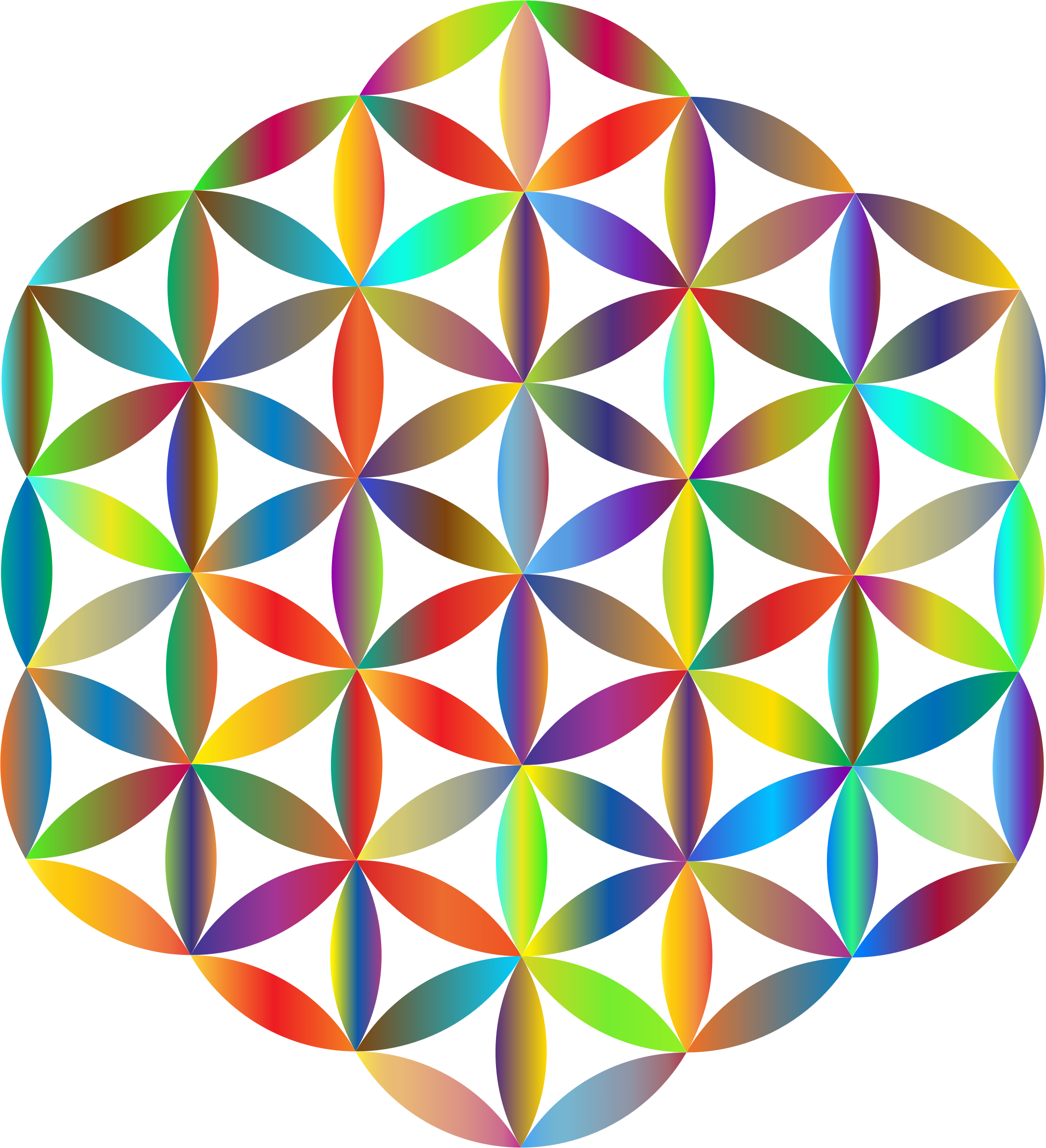 Geous Flower Of Life Yantras Available Now - Flower Life Vector Png (2130x2336)