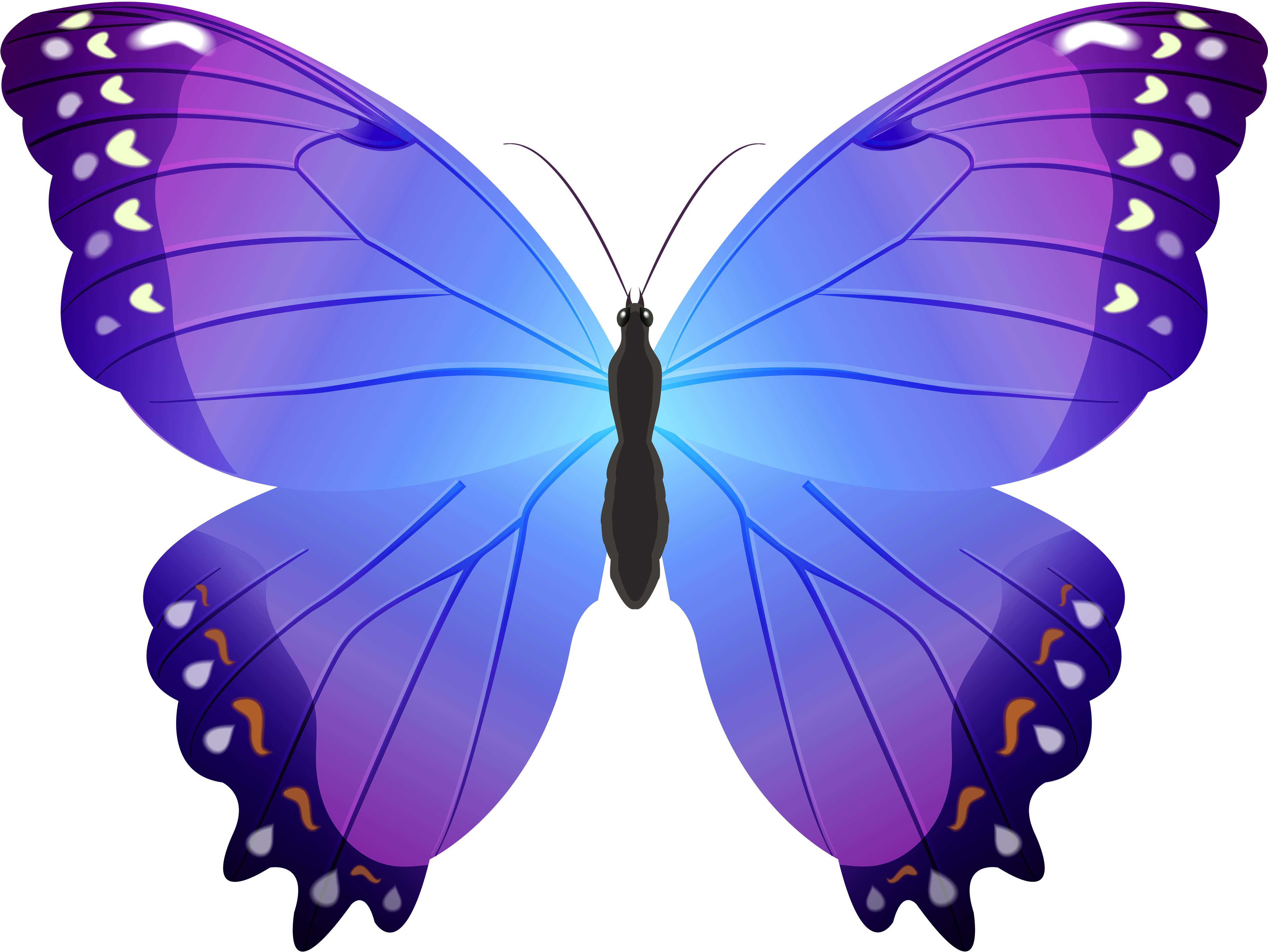 Butterfly Violet Clip Art - Blue And Purple Butterfly Clip Art (5000x3726)