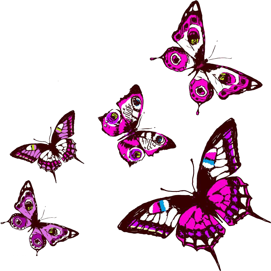 Butterfly Adobe Illustrator Clip Art - Butterfly (1000x1000)