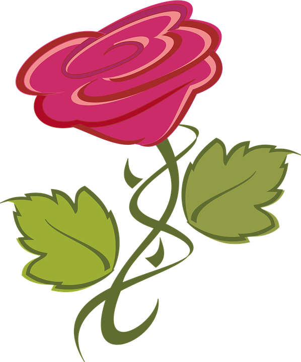 Orchid Flower Cliparts 29, Buy Clip Art - Blume Clipart (598x720)
