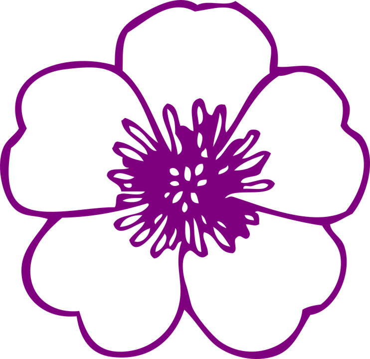 Orchid Flower Cliparts - Flower Clip Art Free (742x720)