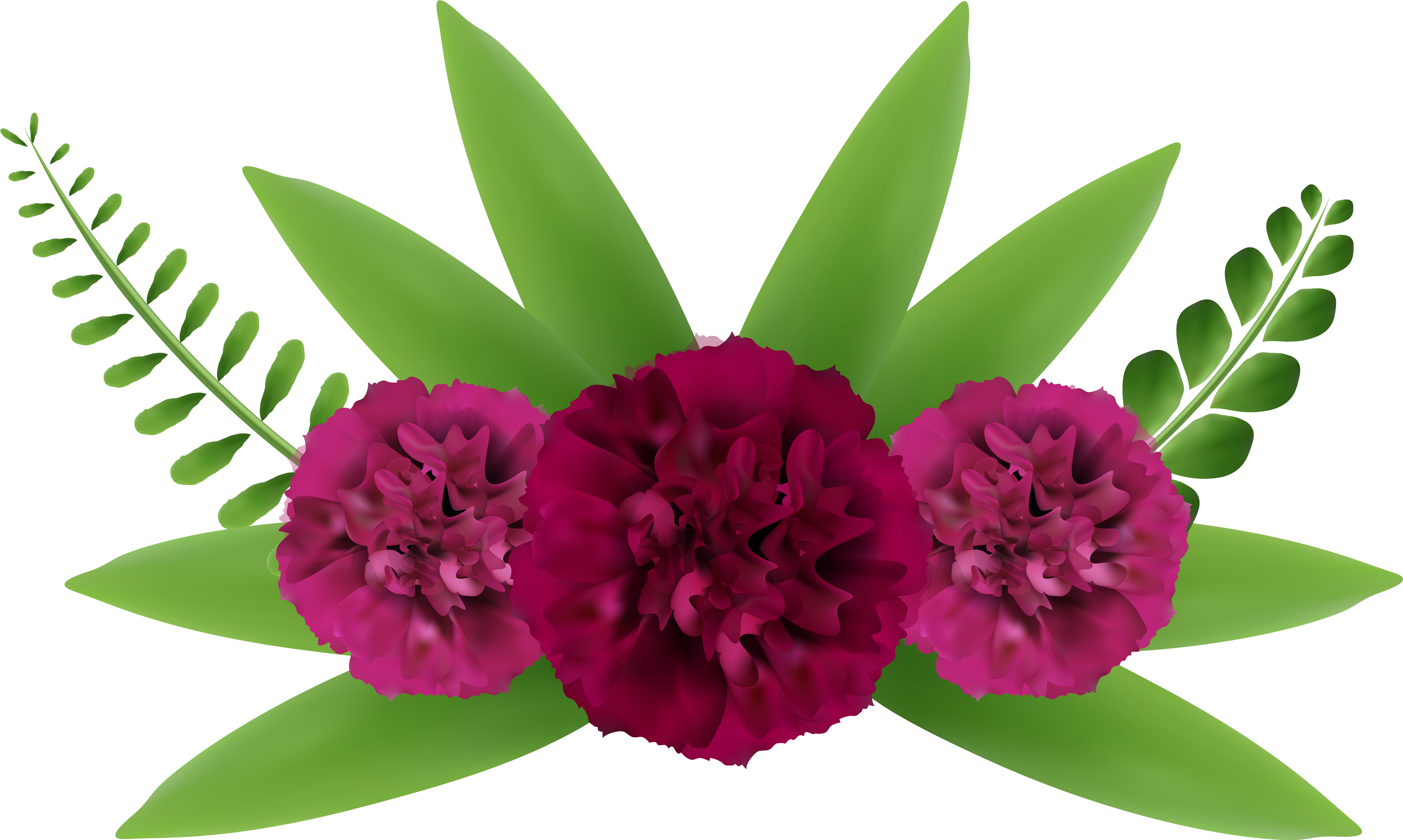 Beautiful Flowers Png Clip-art Image - Beautiful Flowers Png Clip-art Image (6411x3840)