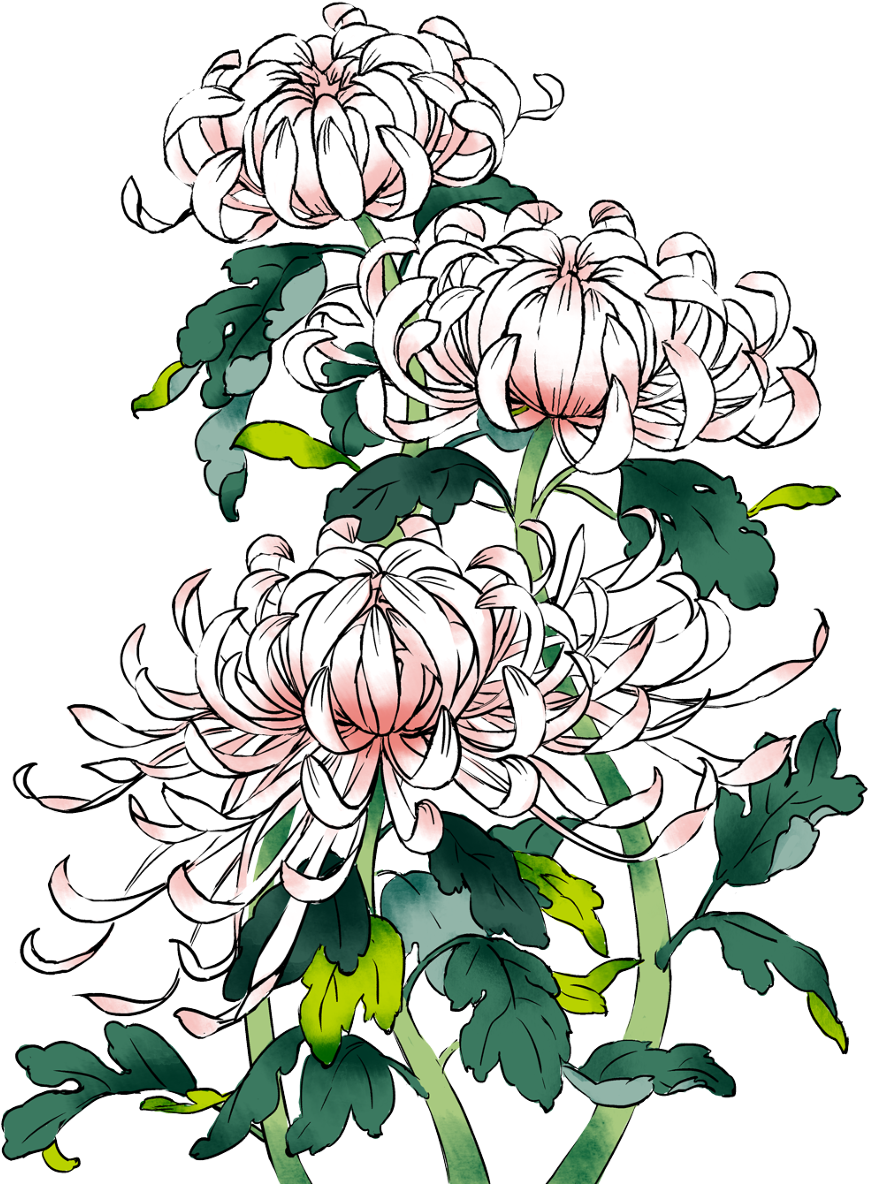 Akky Http - Flower Pattern Pixiv (884x1200)