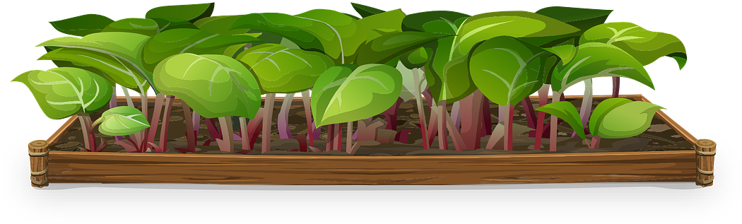 Net Popular - Herb Garden Clipart Transparent (1086x398)