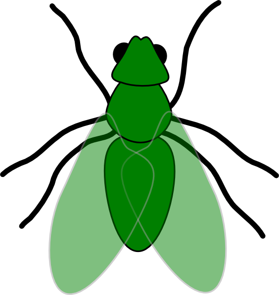 Green Fly Green For Web Clip Art At Clker Com Vector - Fly Clip Art (564x597)