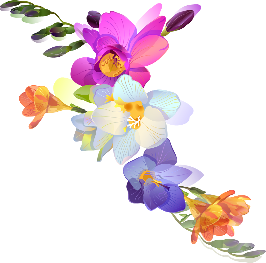 Png Клипарт "spring Floral" - Flower (851x844)