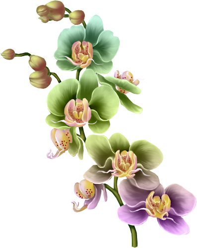 Arte Floral - Floral Design (397x500)