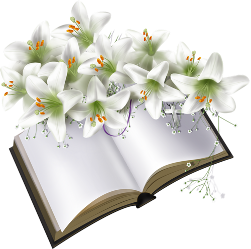 Livres,guestbook - Png Book Frames Hd (500x496)