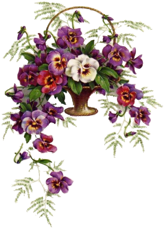 Orchid - Bouquet - Artsy Flower Png (540x800)