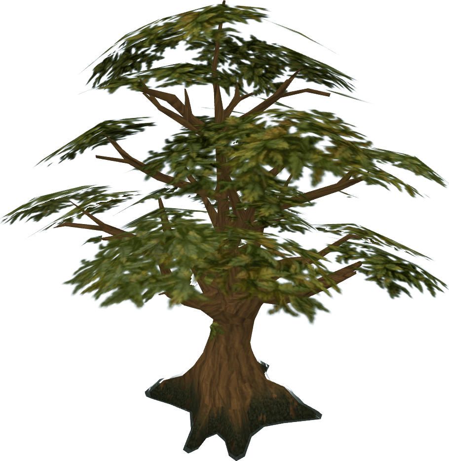 Pine Tree Clipart Swamp Tree - Runescape Oak Tree (910x934)