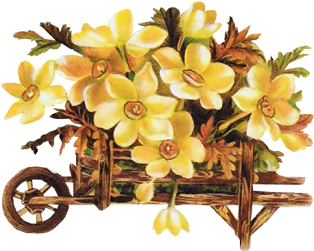 Photo 023842780 Zps523f8fb0 - Artificial Flower (478x373)