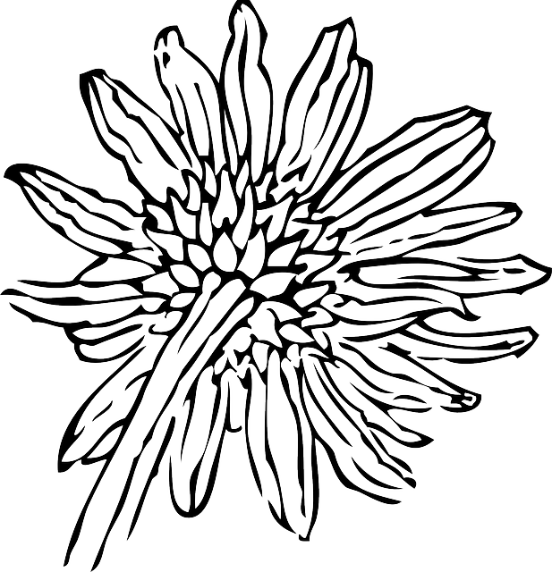 Black, Back, Outline, Drawing, Flower, White, Plant - Sunflower Clip Art (617x640)