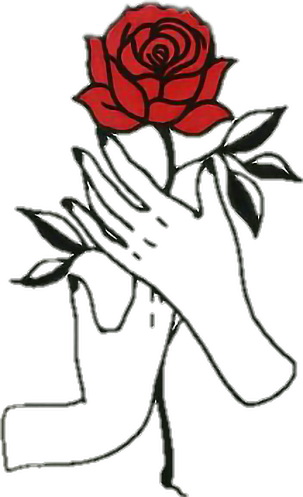 Rose Hands Aesthetic Tumblr Draw - Aesthetic Tumblr Transparent Rose (430x704)