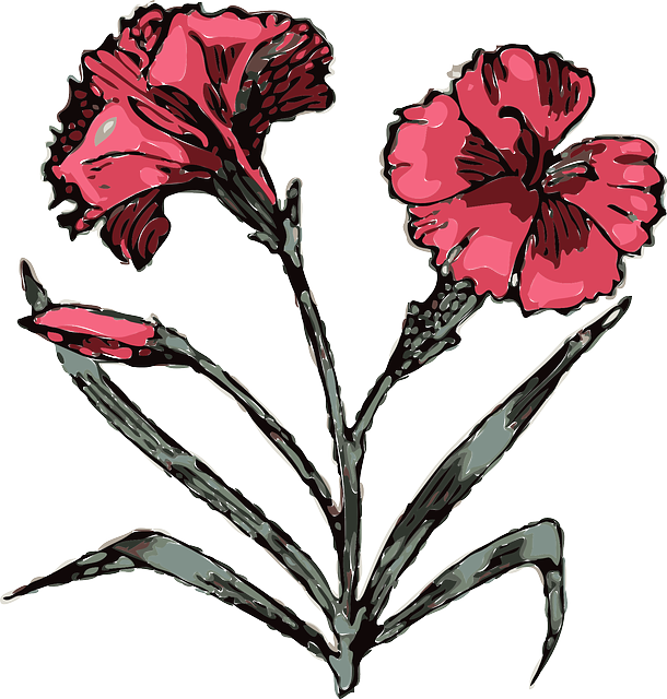 Drawing, Flower, Flowers, Cartoon, Pink, Plant - Angiosperms Clipart (610x640)