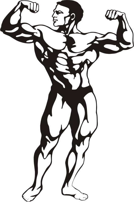 Medium Image - Bodybuilder Clipart (530x800)