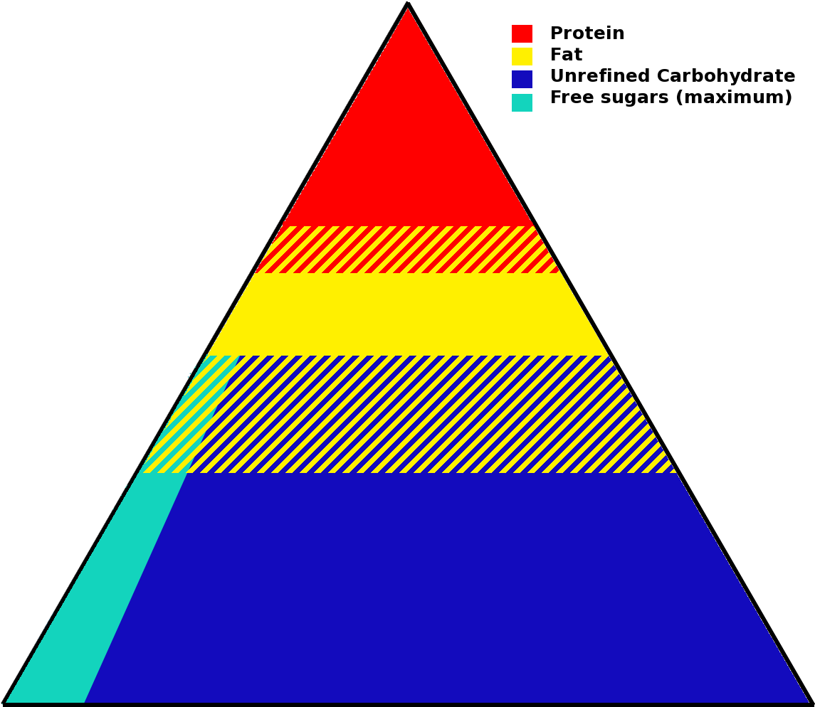 Food Pyramid - Do Lipids Relate To The Food Pyramid (1200x1200)