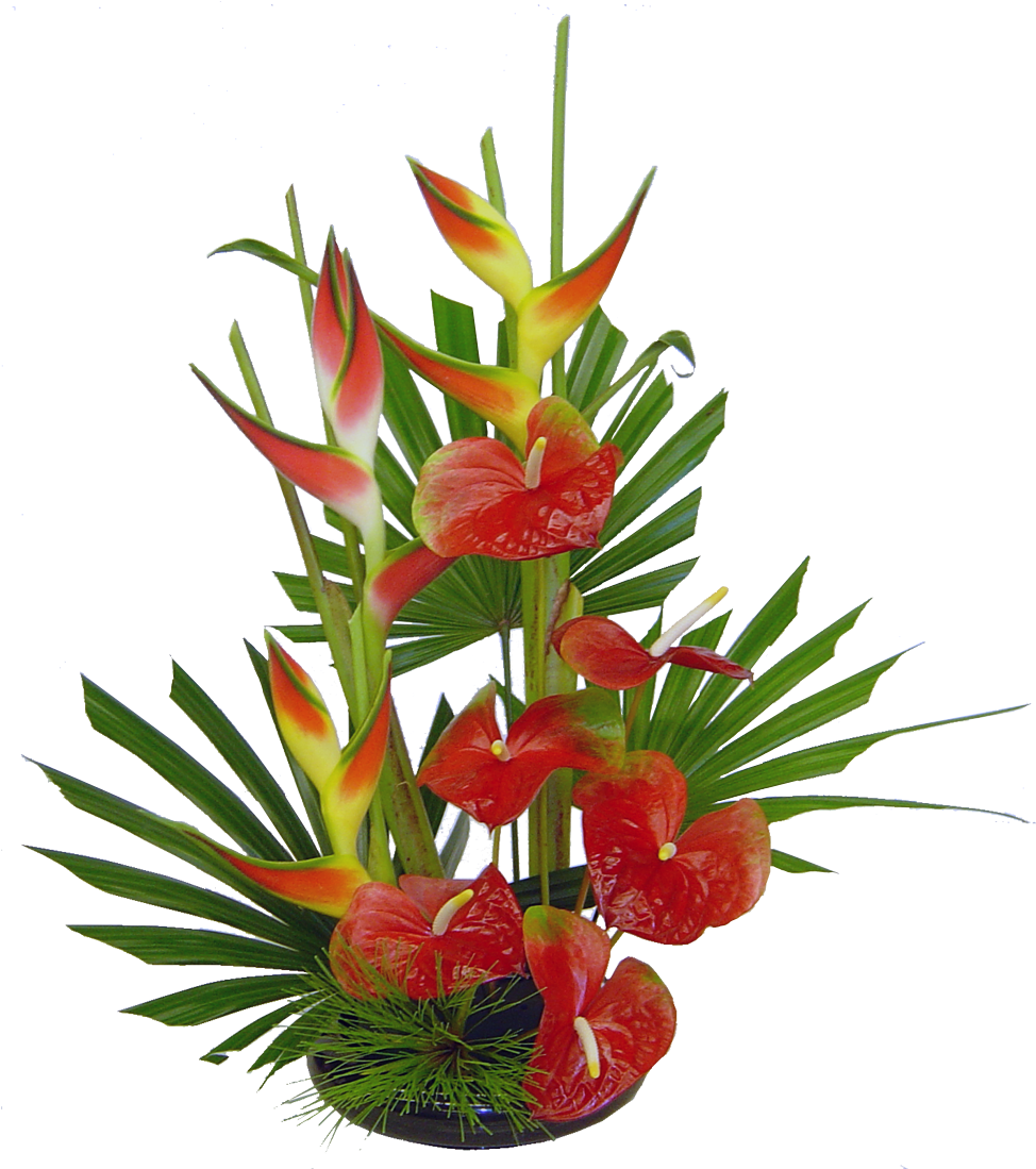 50 Previous Next - Tropical Flower Arrangement (1200x1200)