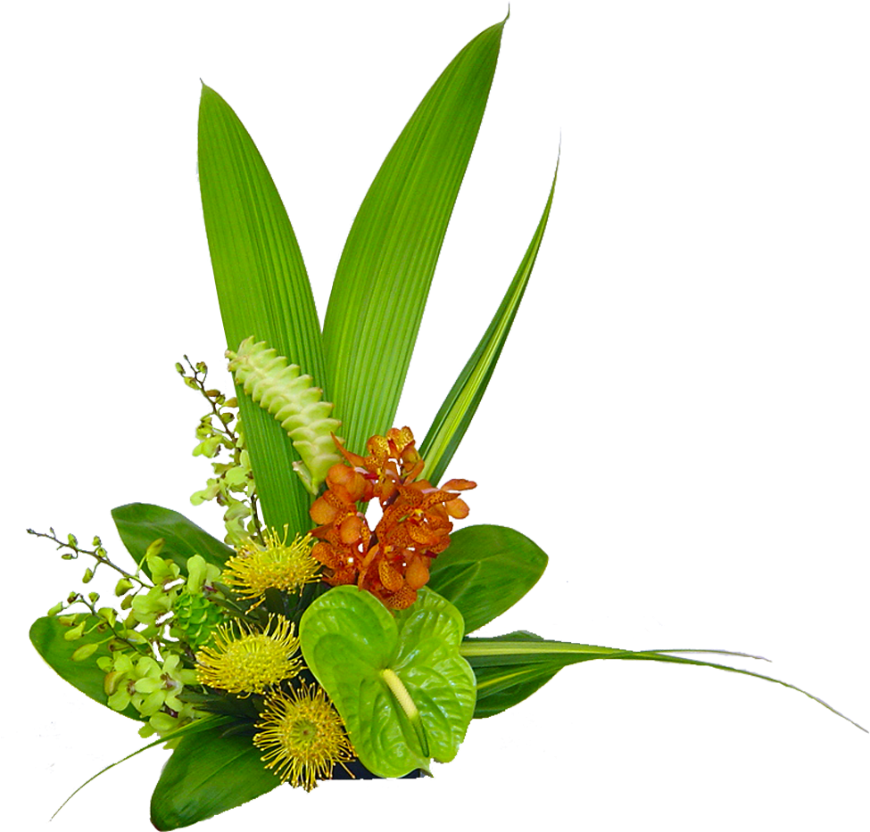 95 Previous Next - Tropical Leave Arrangment Png (1200x1200)