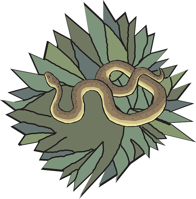 Slithering Snake, Leaves, Reptile, Nest, Coiled, Slithering - Clip Art (630x640)