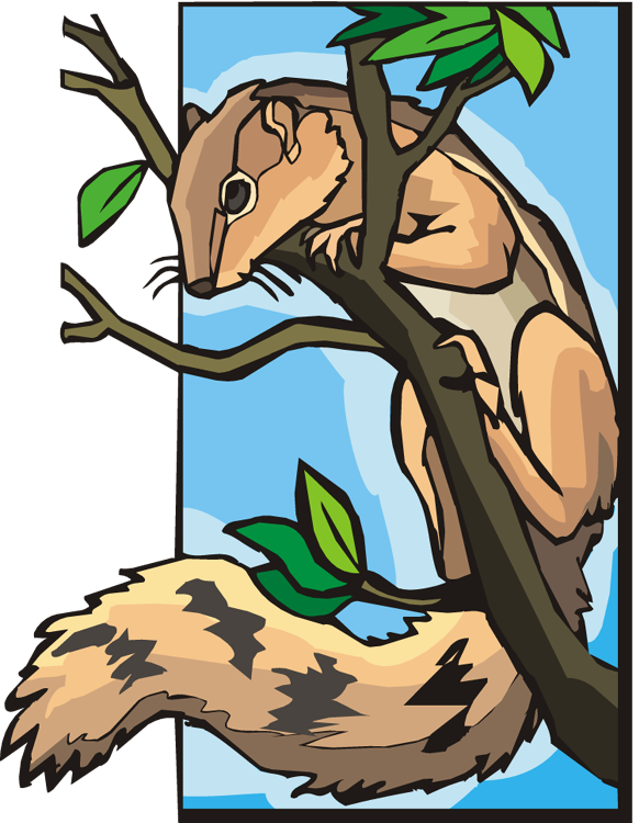 Squirrel On Tree Clipart - Squirrel On Tree Clipart (582x750)