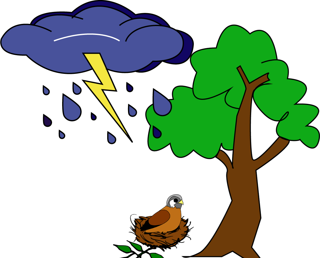 A Kestrel In A Nest That Just Got Knocked Out Of A - A Kestrel In A Nest That Just Got Knocked Out Of A (1045x842)